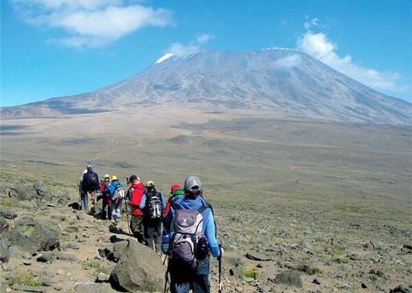 Conquer Mount Kilimanjaro in 6 Days Rongai Route - Conquer Mount Kilimanjaro in 6 Days Rongai Route | Sandpiper Tours & Safaris