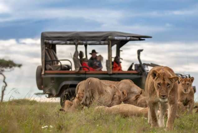 4-Day The Great Awaits in Serengeti National Park