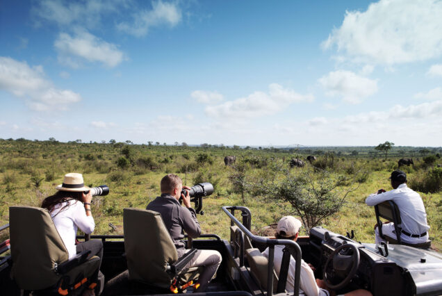 5 Days Tanzania Budget Safari With Serengeti