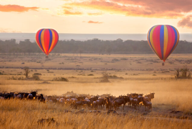5 Day Tanzania Safari with Hot Ballon